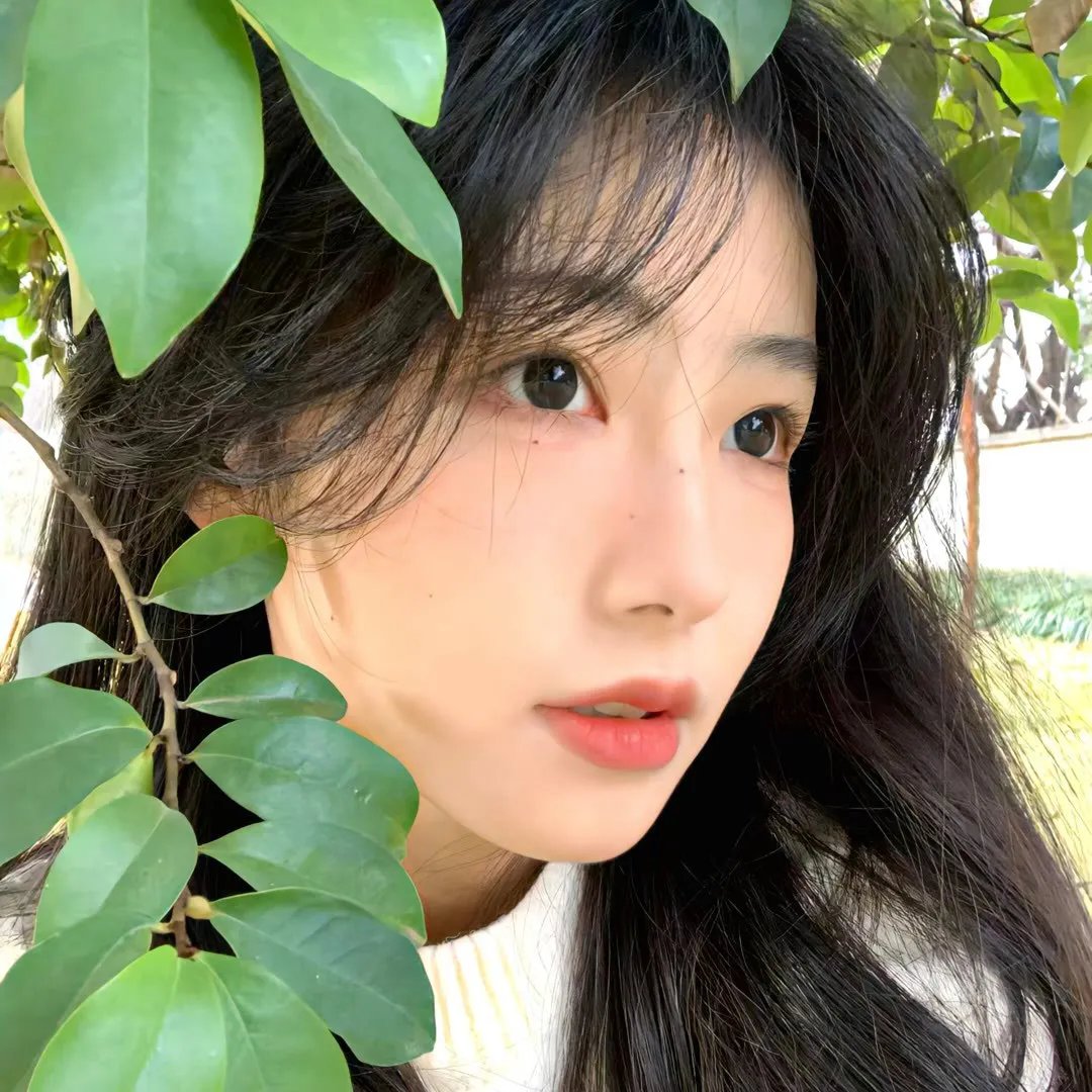 夏洛特时光